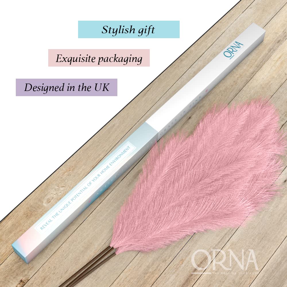 ORNA Artificial Pampas Grass Artificial Flower Long Branches Extra Fluffy 114 cm High (3 Stems x 20 Forks) for Modern Home Decoration