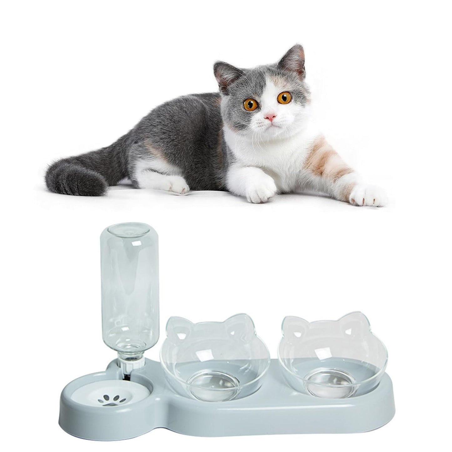 Katzennapf Set mit Wasserspender | Automatischer Trinkbrunnen für Katzen & Hunde