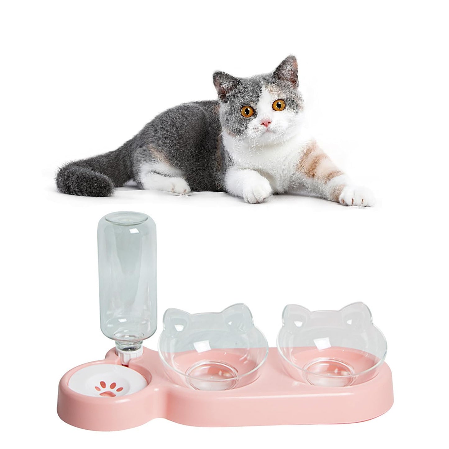 Katzennapf Set mit Wasserspender | Automatischer Trinkbrunnen für Katzen & Hunde