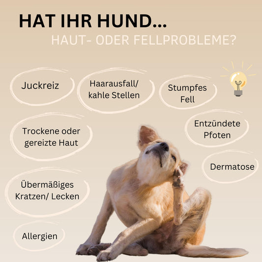 Haut & Fell Drops mit Algenöl für Hunde, 100% natürlich