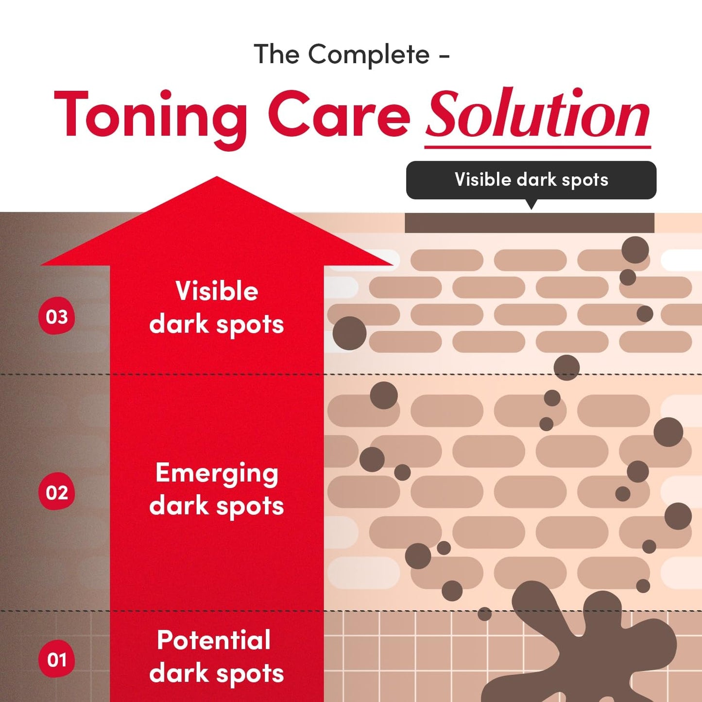 EQQUALBERRY Vitamin C Illuminating Serum - Brightening Serum with Acerola and Niacinamide, Strengthens the Skin Barrier, Moisturises with Ceramide and Hyaluronic Acid, 30 ml