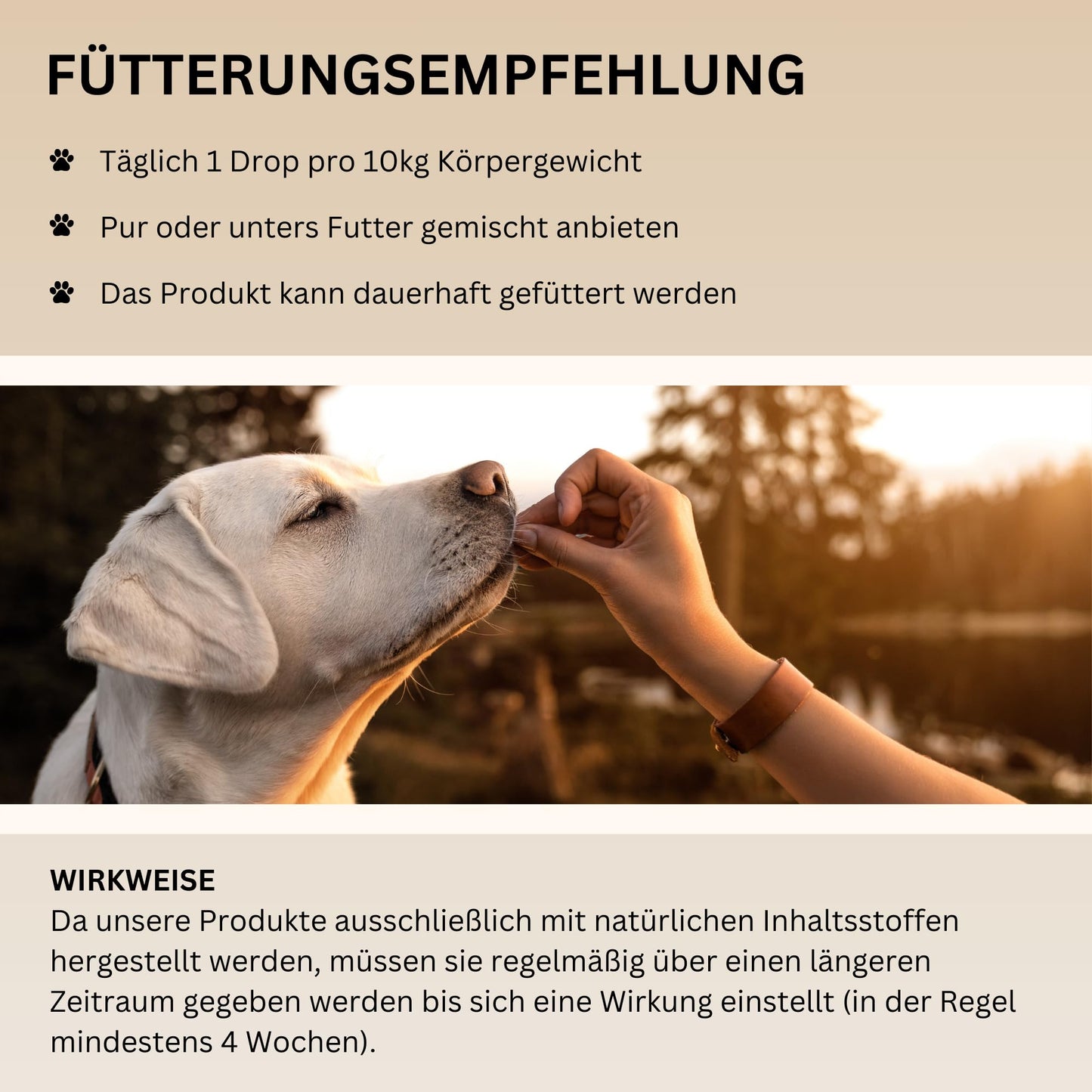 Haut & Fell Drops mit Algenöl für Hunde, 100% natürlich