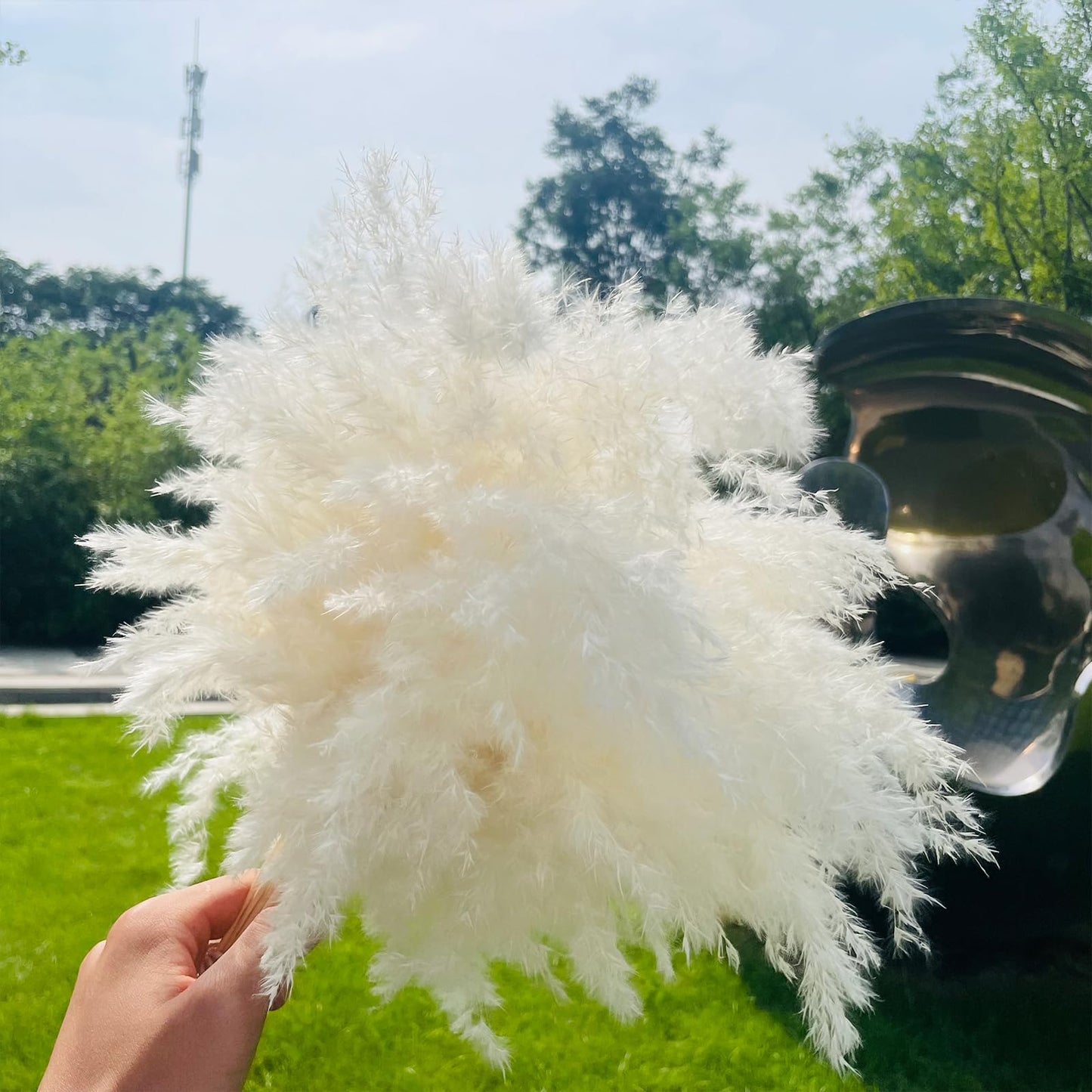 Dried Pampas Grass 60 Pieces Natural Dried Flowers Decoration, Bouquet Reed Flower Decoration for Living Room Bedroom