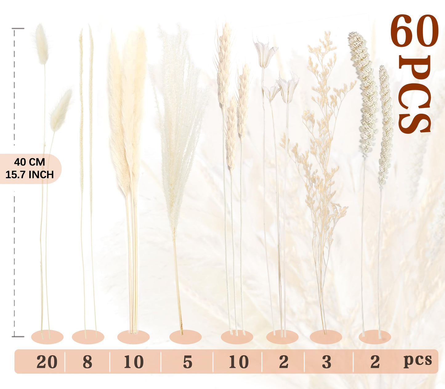 Pampasgras Getrocknet - Natürliche, Braun, Trockenblumen Strauß Dried Flowers, für Heim Decor