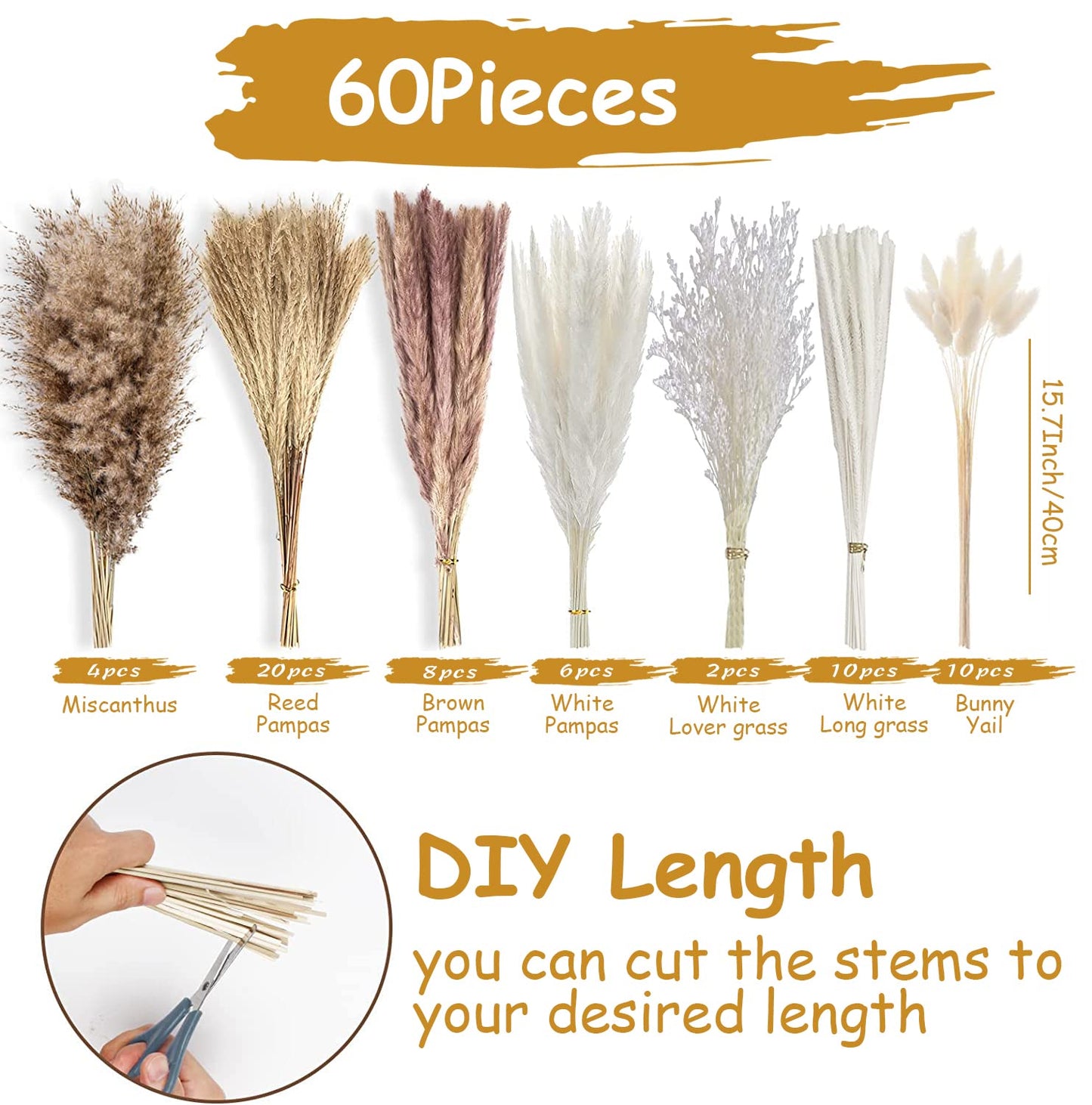 Dried Pampas Grass 60 Pieces Natural Dried Flowers Decoration, Bouquet Reed Flower Decoration for Living Room Bedroom