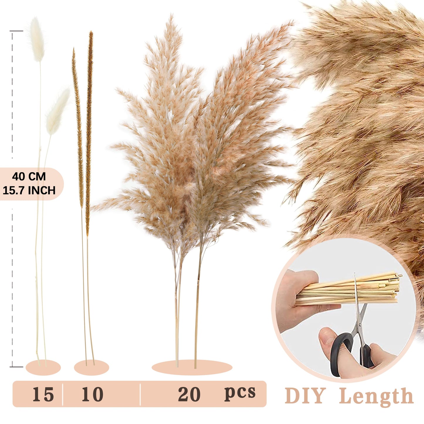 Pampasgras Getrocknet - Natürliche, Braun, Trockenblumen Strauß Dried Flowers, für Heim Decor
