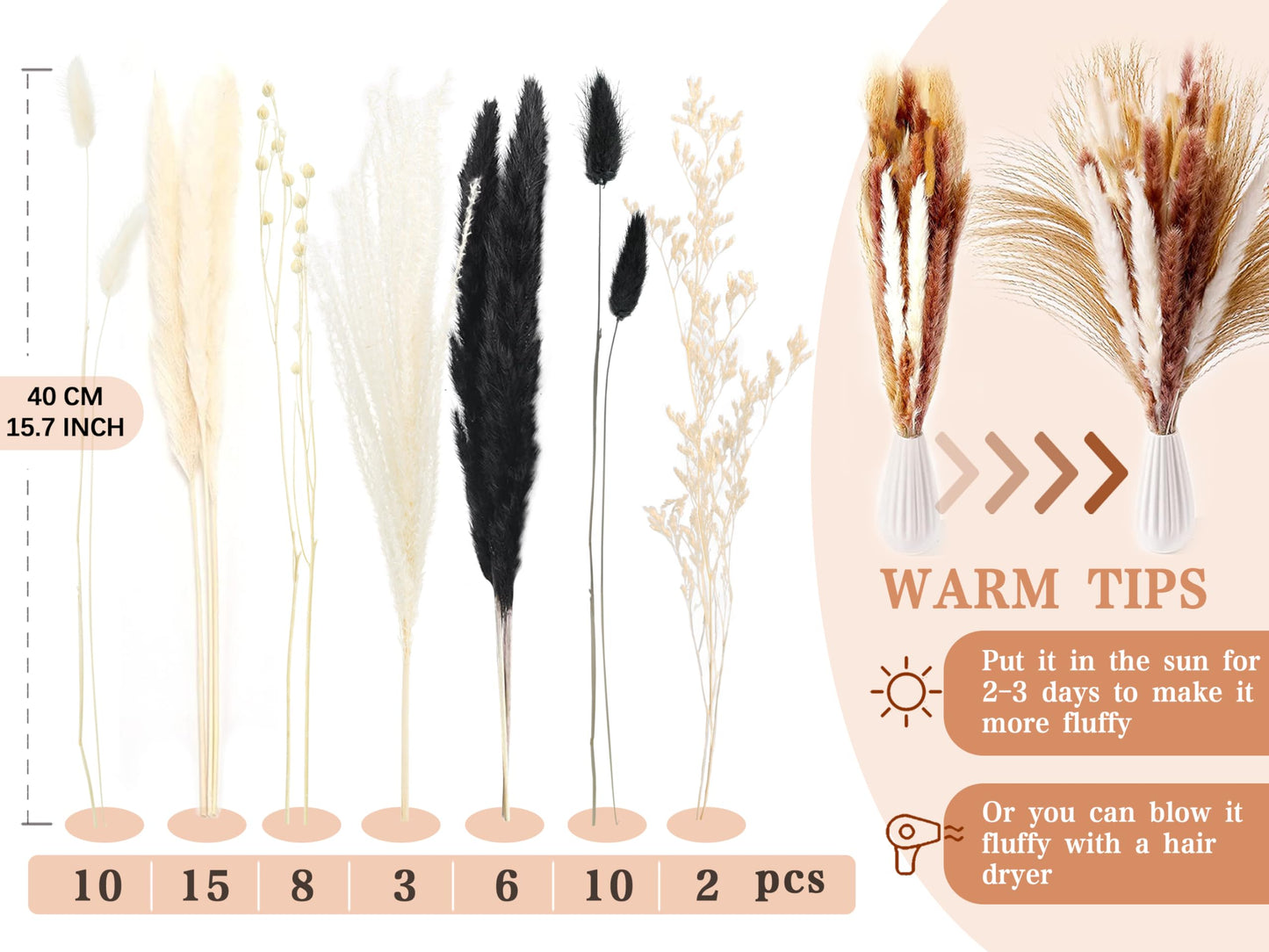 Pampasgras Getrocknet - Natürliche, Braun, Trockenblumen Strauß Dried Flowers, für Heim Decor