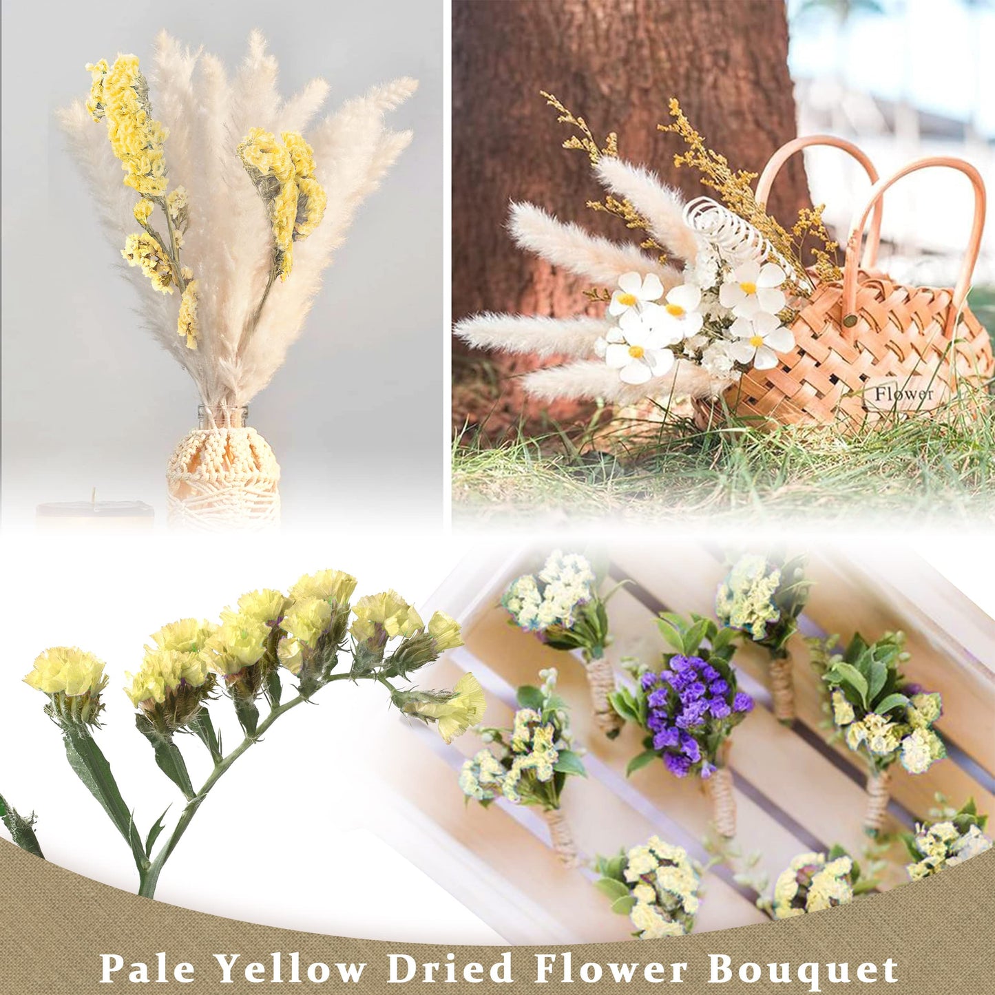 Pampasgras Getrocknet - Natürliche, Braun, Trockenblumen Strauß Dried Flowers, für Heim Decor