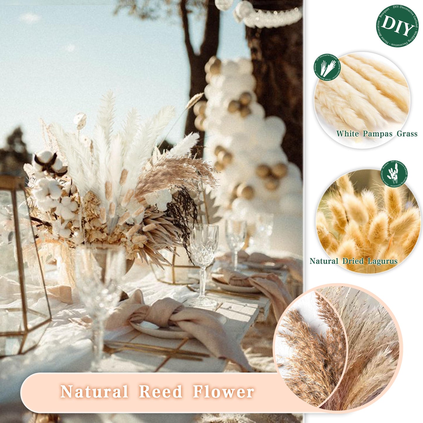 Pampasgras Getrocknet - Natürliche, Braun, Trockenblumen Strauß Dried Flowers, für Heim Decor