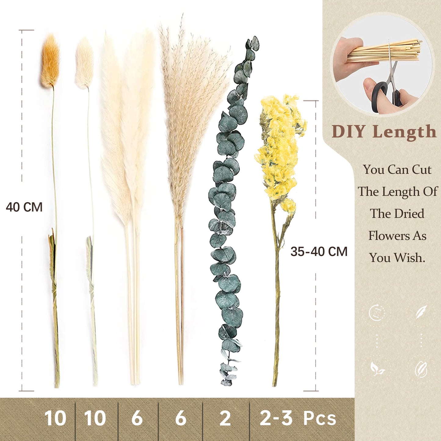 Pampasgras Getrocknet - Natürliche, Braun, Trockenblumen Strauß Dried Flowers, für Heim Decor