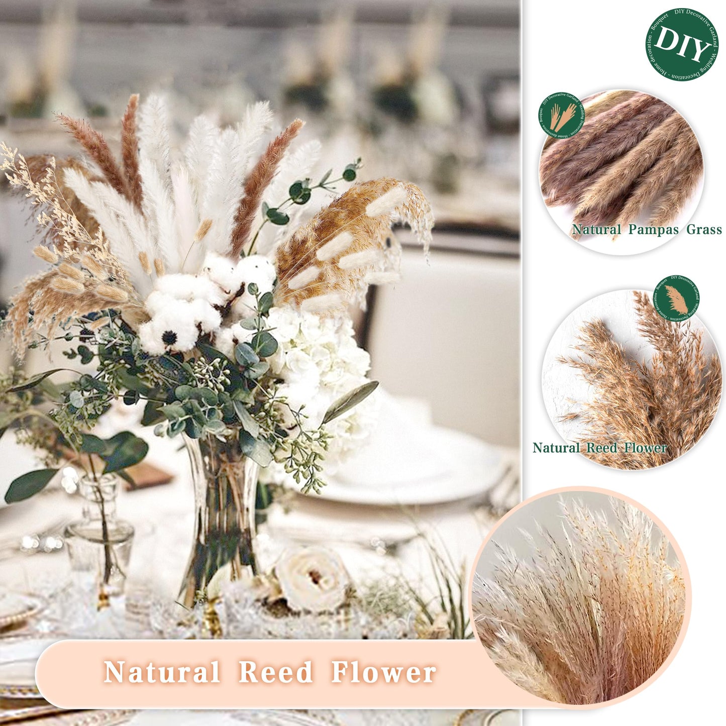 Pampasgras Getrocknet - Natürliche, Braun, Trockenblumen Strauß Dried Flowers, für Heim Decor