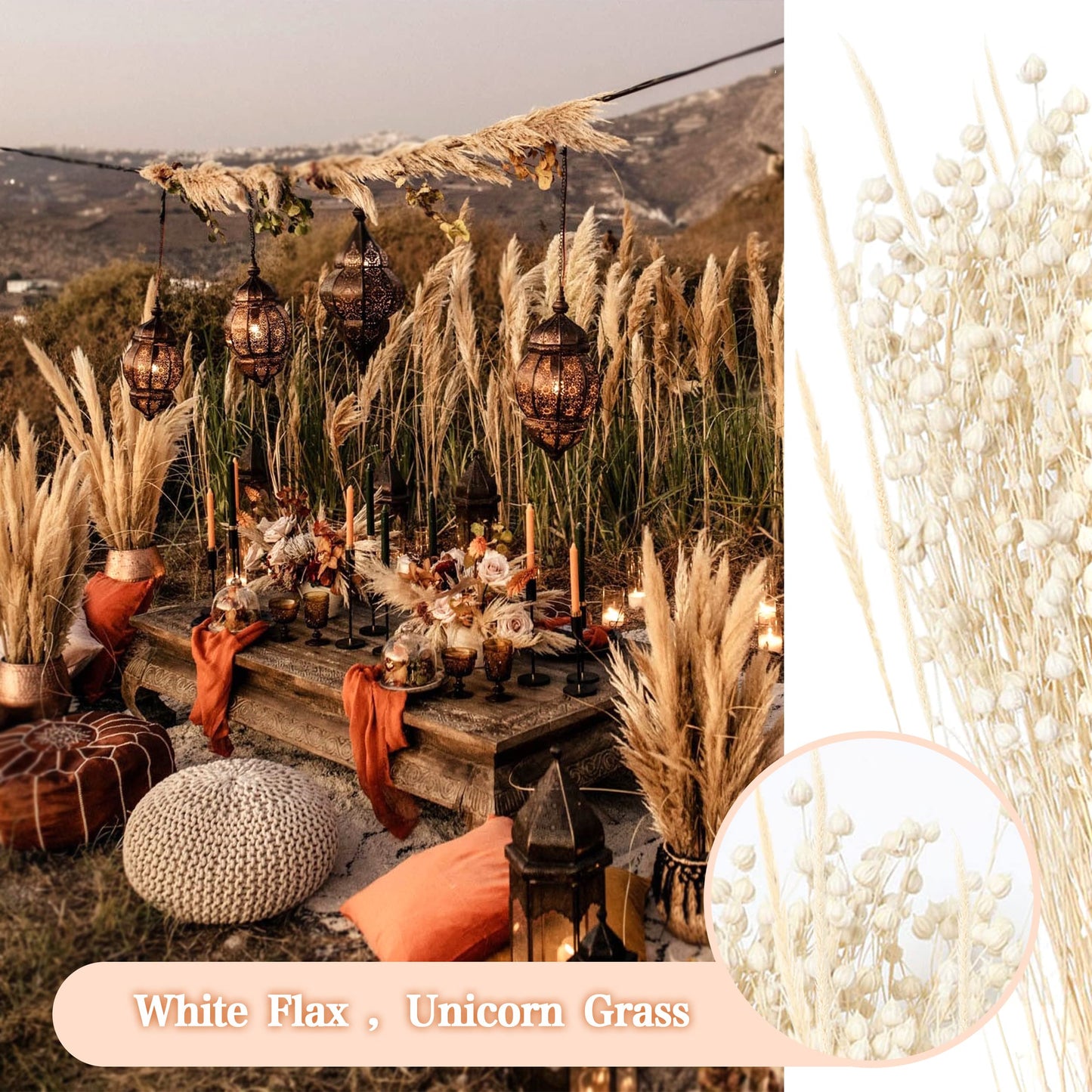 Pampasgras Getrocknet - Natürliche, Braun, Trockenblumen Strauß Dried Flowers, für Heim Decor