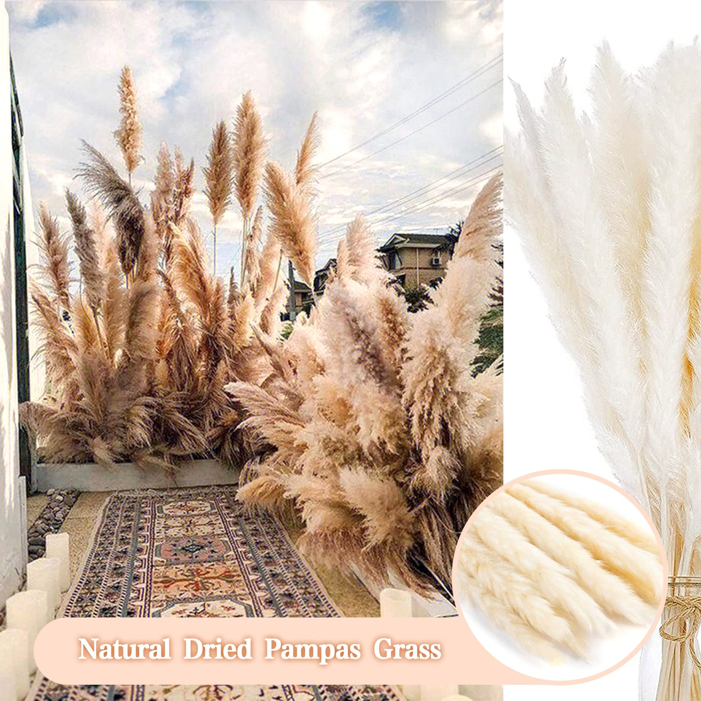 Pampasgras Getrocknet - Natürliche, Braun, Trockenblumen Strauß Dried Flowers, für Heim Decor