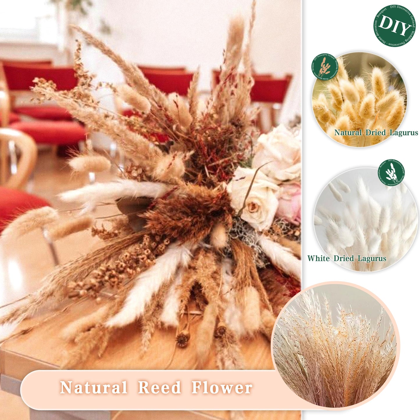 Pampasgras Getrocknet - Natürliche, Braun, Trockenblumen Strauß Dried Flowers, für Heim Decor