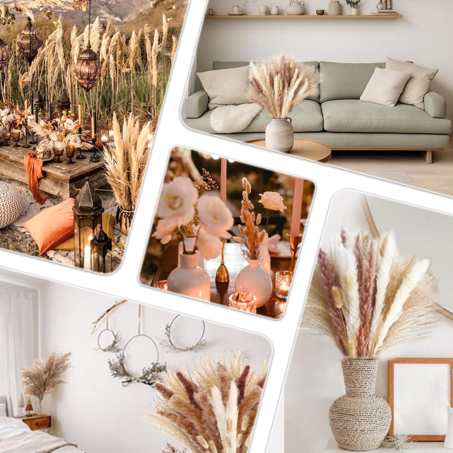 Pampasgras Getrocknet - Natürliche, Braun, Trockenblumen Strauß Dried Flowers, für Heim Decor