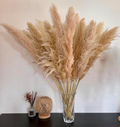 15 Stück 100cm Pampasgras Groß, Natürliche & Flauschige Trockenblumenstrauß Pampasgras XXL, für Boho-Wohnkultur, Wanddekoration, Tisch, Hochzeits, Schlafzimmer