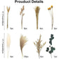 Dried Pampas Grass 60 Pieces Natural Dried Flowers Decoration, Bouquet Reed Flower Decoration for Living Room Bedroom