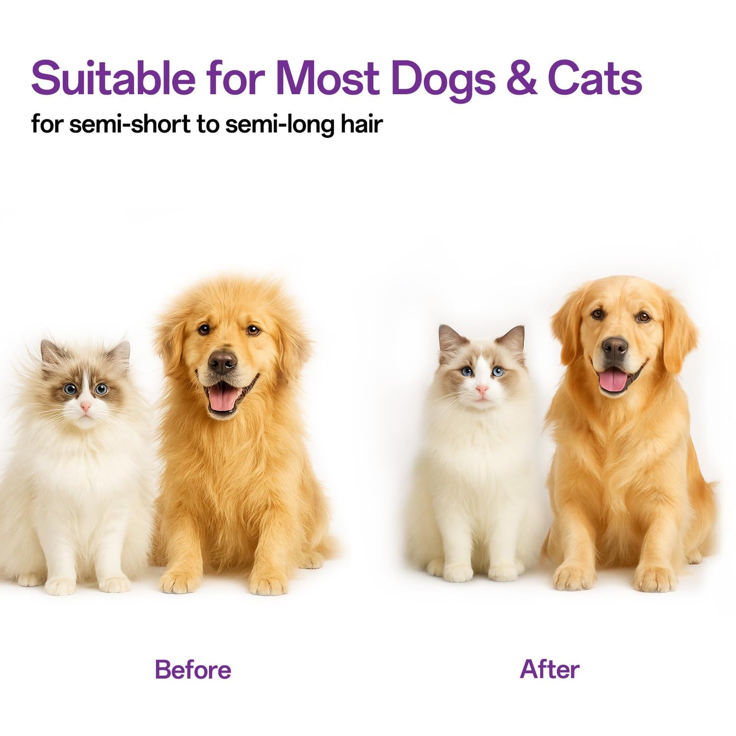 Haustier Hundebürste Katzenbürste, Haustier Bürsten, Hundebürste Katzenbürste