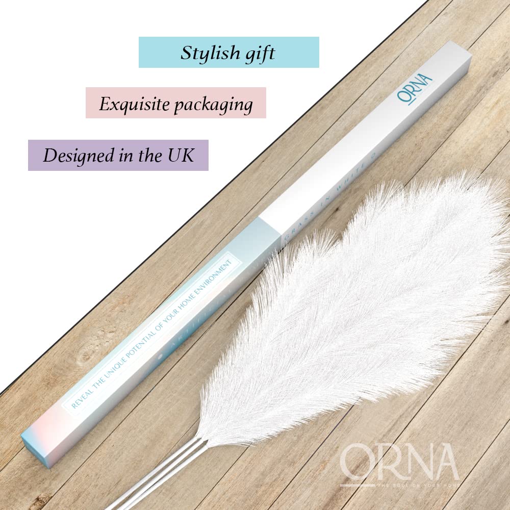 ORNA Artificial Pampas Grass Artificial Flower Long Branches Extra Fluffy 114 cm High (3 Stems x 20 Forks) for Modern Home Decoration