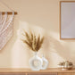 Keramik Vase Weiß Matt Rund Deko Vasen Set 2er Moderne Boho Blumenvase für tulpen pampasgras passend für Wohnzimmer Schlafzimmer Büro