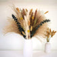 Dried Pampas Grass 60 Pieces Natural Dried Flowers Decoration, Bouquet Reed Flower Decoration for Living Room Bedroom