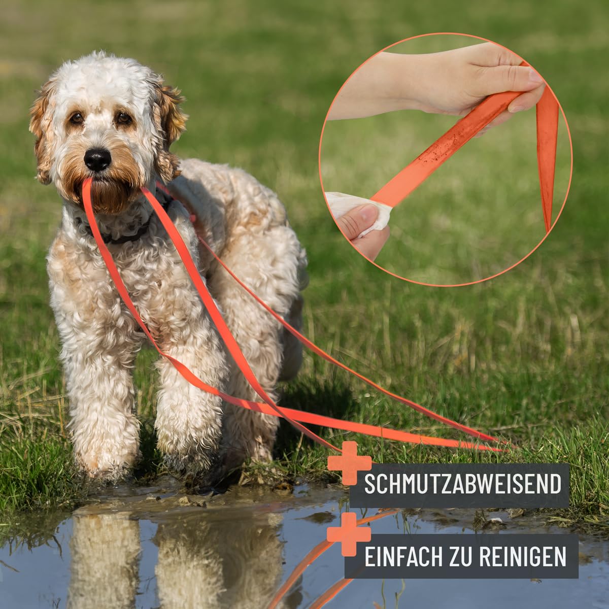 Schleppleine für Hunde 5 Meter, Schwarz I Robuste & wasserfeste Hundeleine lang I Übungsleine mit Griff
