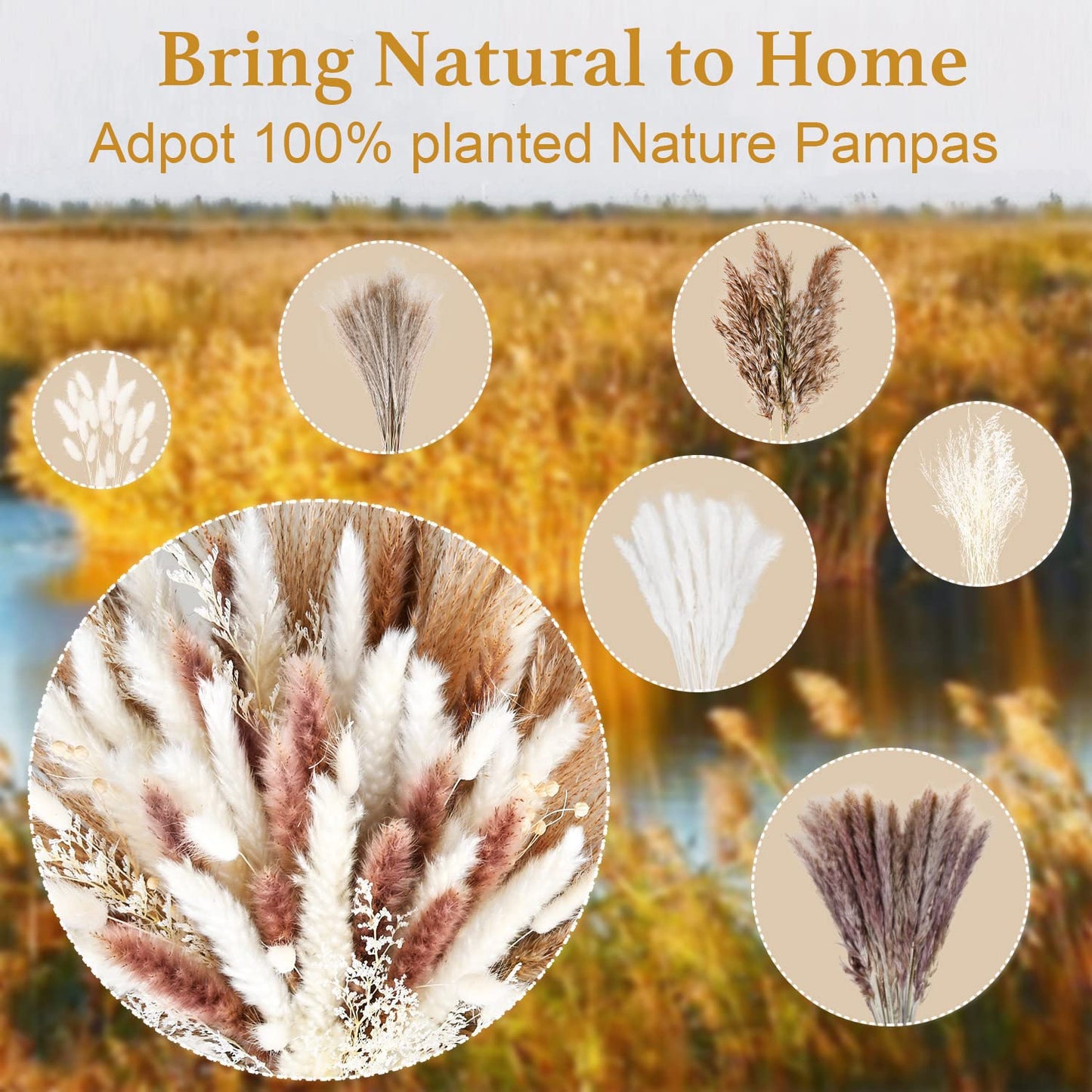Dried Pampas Grass 60 Pieces Natural Dried Flowers Decoration, Bouquet Reed Flower Decoration for Living Room Bedroom