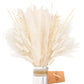 Pampasgras Getrocknet - Natürliche, Braun, Trockenblumen Strauß Dried Flowers, für Heim Decor
