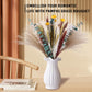 Dried Pampas Grass 60 Pieces Natural Dried Flowers Decoration, Bouquet Reed Flower Decoration for Living Room Bedroom