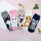 Women's One Size Socks Komfort