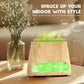 2-in-1 Aroma Diffuser & Salt Range Pakistan Light, Flame Effect for Essential Oils, Humidifier with 3 Brightness, 150 ml