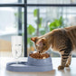 Cat Feeding Station with Automatic Water Bottle, 2-in-1 Raised Bowl Made of Stainless Steel