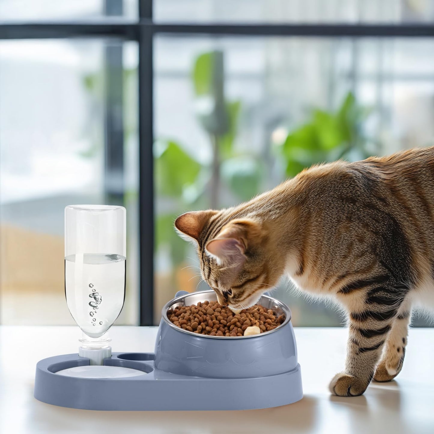 Cat Feeding Station with Automatic Water Bottle, 2-in-1 Raised Bowl Made of Stainless Steel