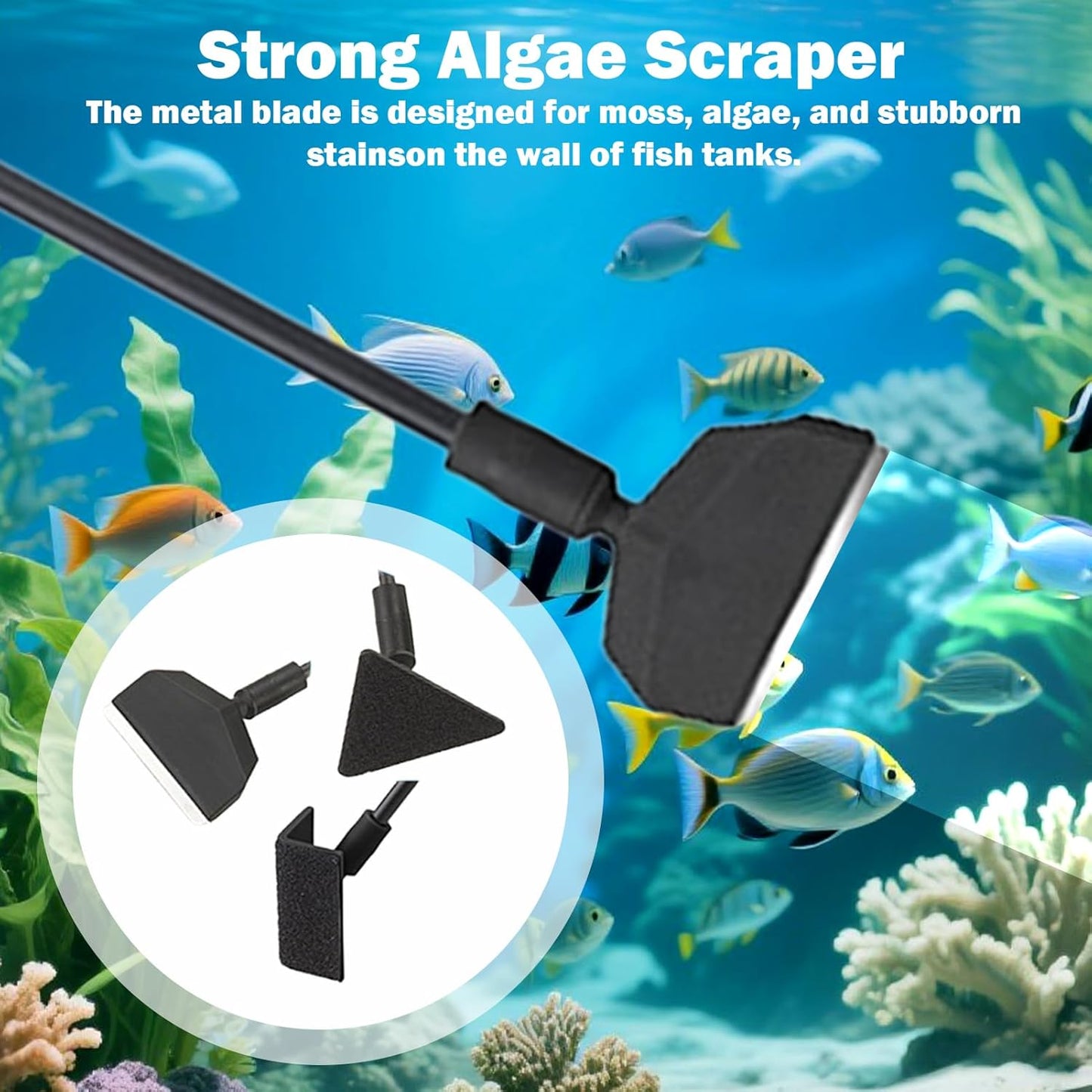 3 In 1 Aquarium Reinigungsset, Aquarium Scheibenreiniger