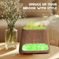 2-in-1 Aroma Diffuser & Salt Range Pakistan Light, Flame Effect for Essential Oils, Humidifier with 3 Brightness, 150 ml