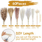 Dried Pampas Grass 60 Pieces Natural Dried Flowers Decoration, Bouquet Reed Flower Decoration for Living Room Bedroom