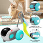 Cat Toy Intelligent Remote Controlled Electric Interactive