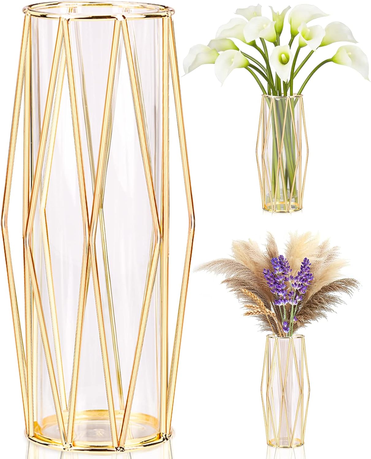 Gold Vases Decoration for Pampas Grass, Scandinavian High Floor Vase with Metal Frame for Wedding Centrepiece or Desk Office, 28 cm High