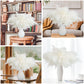 Dried Pampas Grass 60 Pieces Natural Dried Flowers Decoration, Bouquet Reed Flower Decoration for Living Room Bedroom