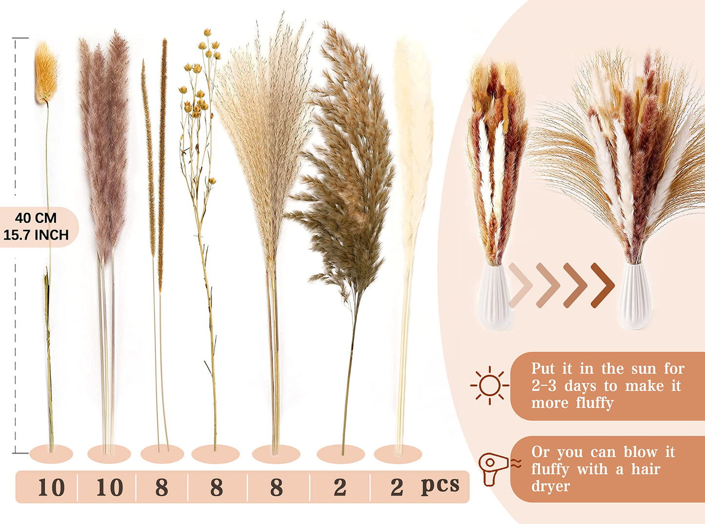 Pampasgras Getrocknet - Natürliche, Braun, Trockenblumen Strauß Dried Flowers, für Heim Decor