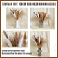 Dried Pampas Grass 60 Pieces Natural Dried Flowers Decoration, Bouquet Reed Flower Decoration for Living Room Bedroom