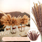 Pampasgras Getrocknet - Natürliche, Braun, Trockenblumen Strauß Dried Flowers, für Heim Decor