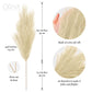 ORNA Artificial Pampas Grass Artificial Flower Long Branches Extra Fluffy 114 cm High (3 Stems x 20 Forks) for Modern Home Decoration
