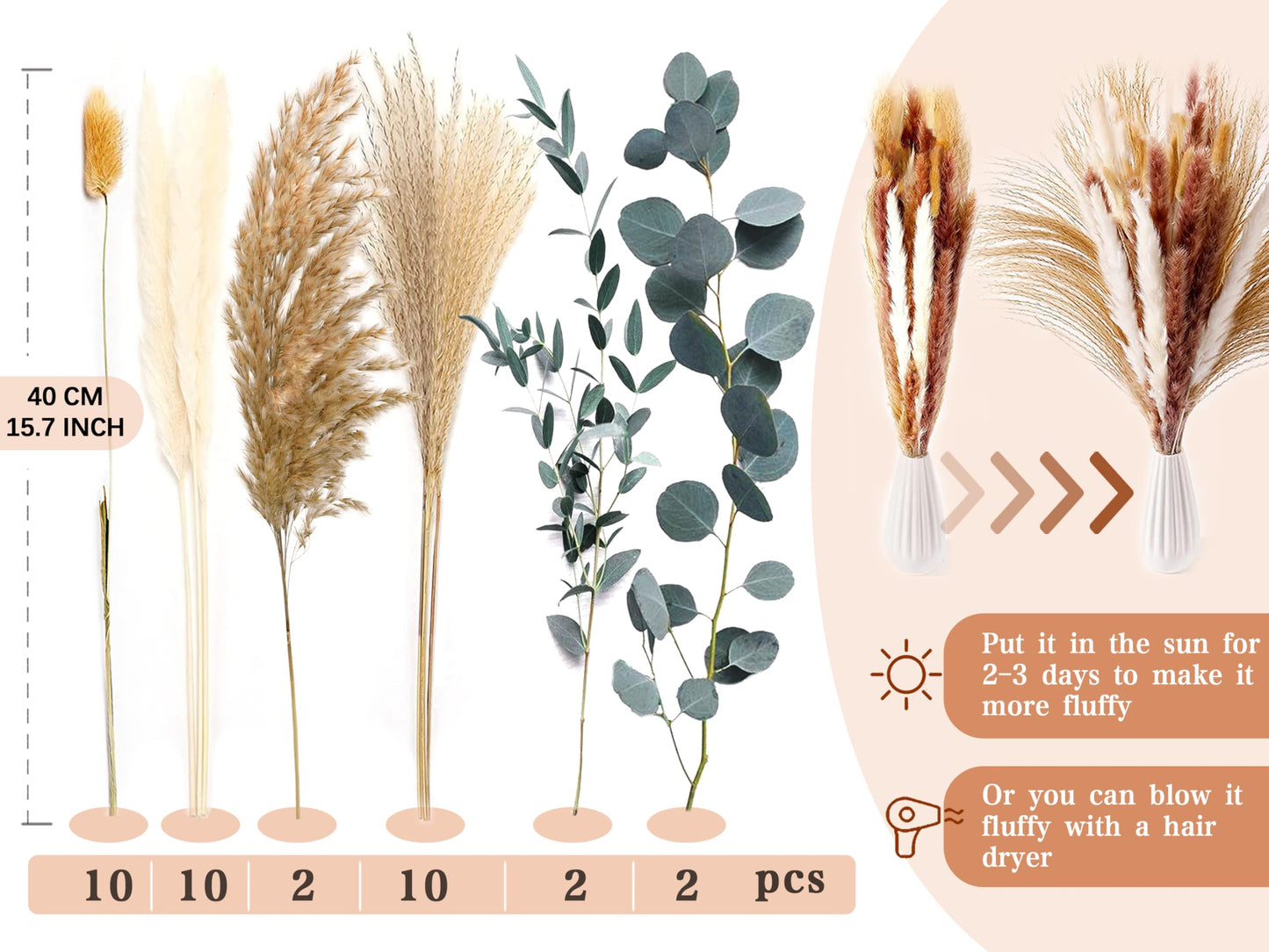 Pampasgras Getrocknet - Natürliche, Braun, Trockenblumen Strauß Dried Flowers, für Heim Decor