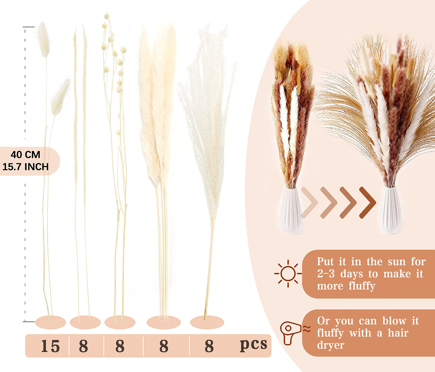 Pampasgras Getrocknet - Natürliche, Braun, Trockenblumen Strauß Dried Flowers, für Heim Decor