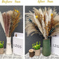 Dried Pampas Grass 60 Pieces Natural Dried Flowers Decoration, Bouquet Reed Flower Decoration for Living Room Bedroom