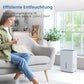 Luftentfeuchter 12L Dehumidifier Electric Cellar 35 dB, Room Dehumidifier