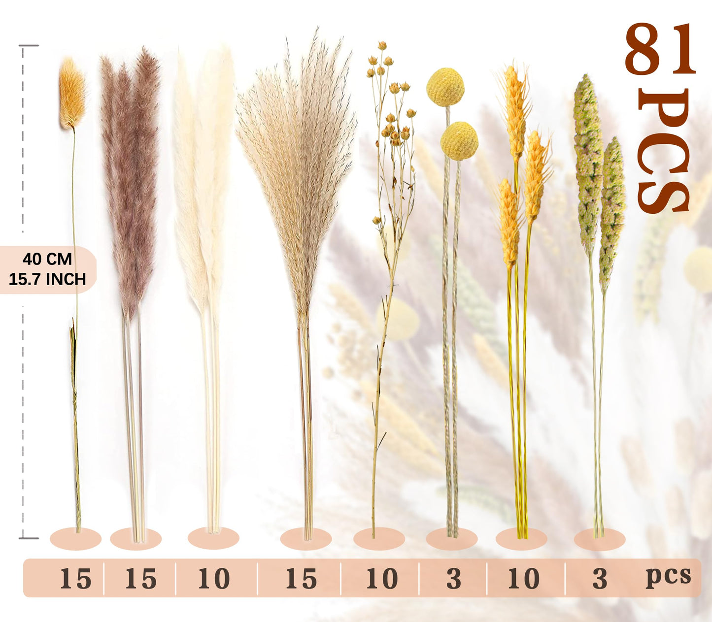 Pampasgras Getrocknet - Natürliche, Braun, Trockenblumen Strauß Dried Flowers, für Heim Decor