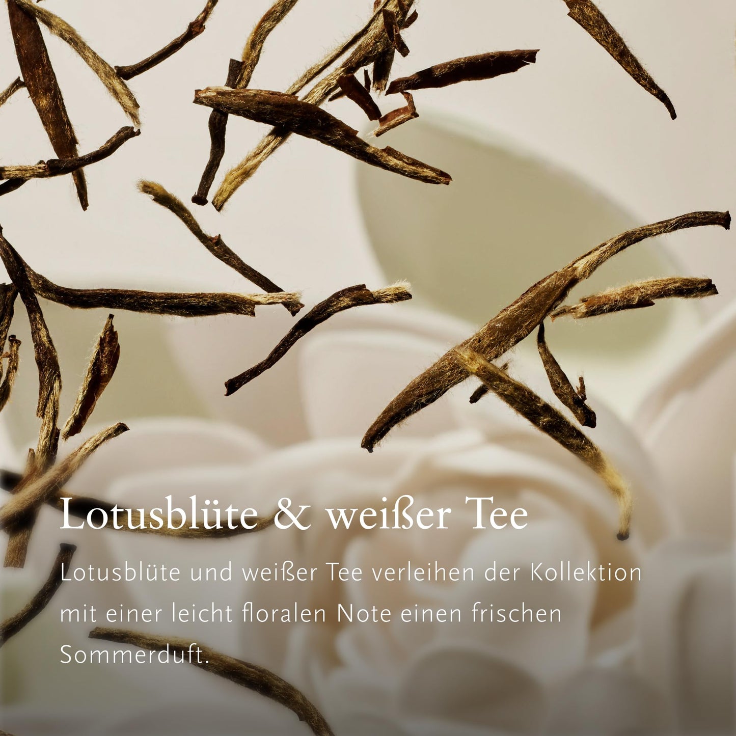 RITUALS Geschenkset The Ritual of Karma Medium, vier Hautpflegeprodukte mit Lotusblüte und Weißem Tee – Bade-Geschenkbox mit pflegender und beruhigender Wirkung