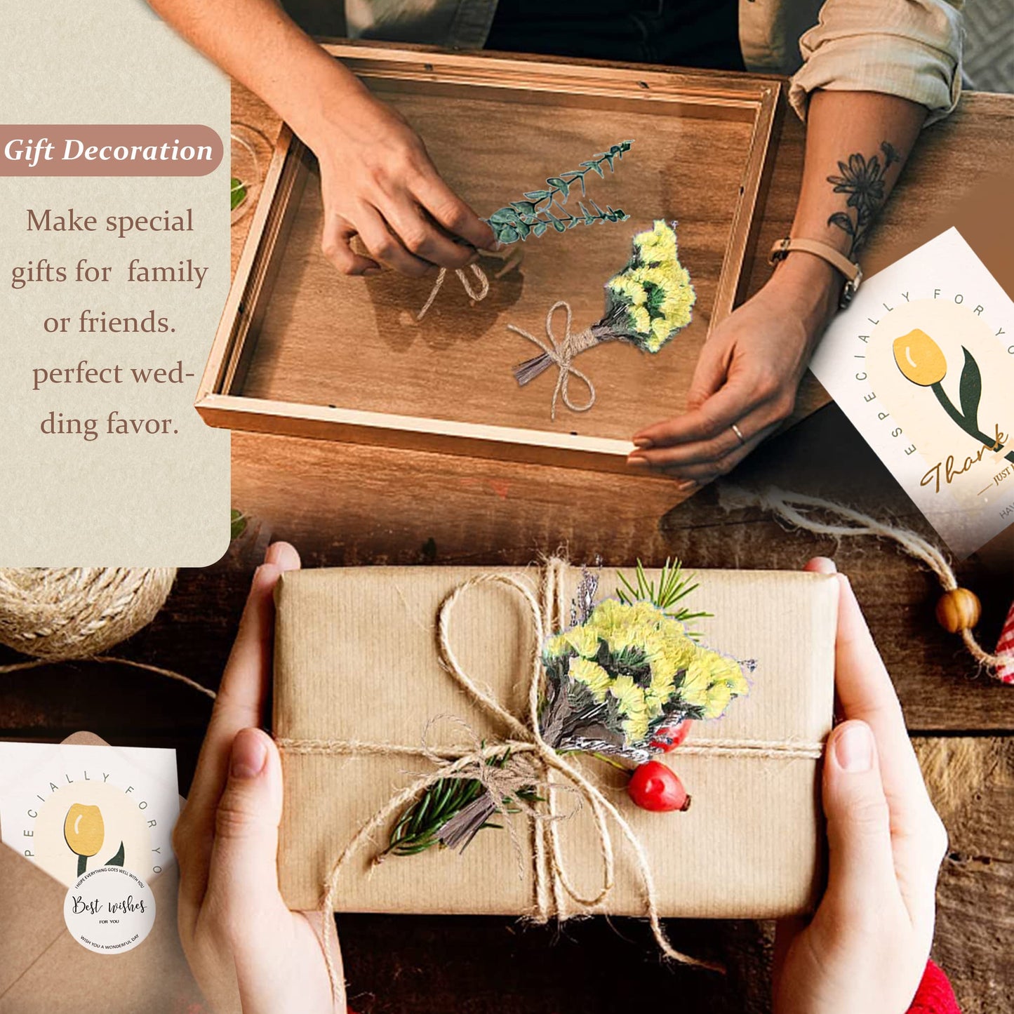 Pampasgras Getrocknet - Natürliche, Braun, Trockenblumen Strauß Dried Flowers, für Heim Decor